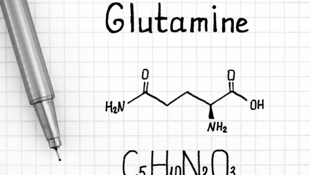 Image2can you take l-glutamine and magnesium together