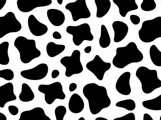 cow print wallpaper iphone