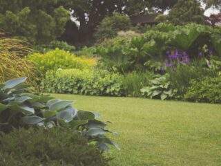 gardenedgingexpert.com/blog