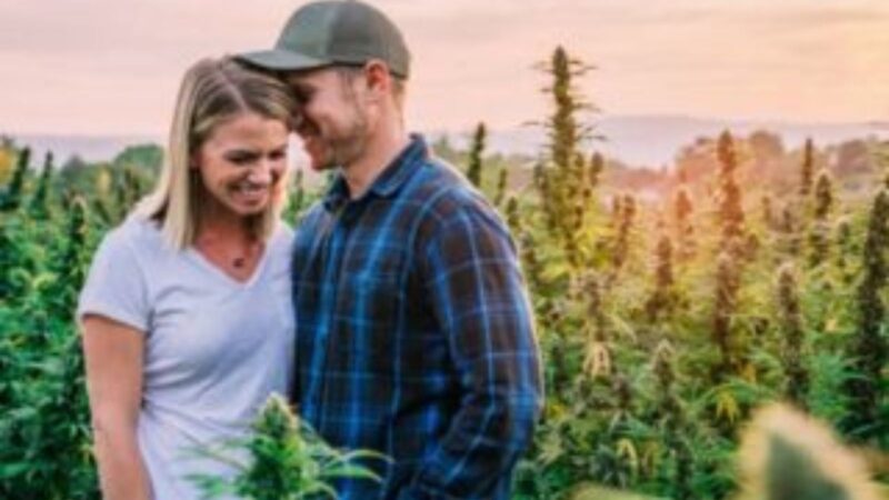 Untitled design - 2025-12-30T230722.958