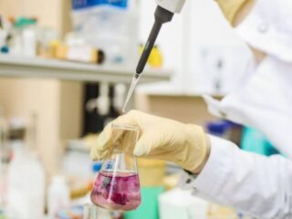 Untitled design - 2025-12-31T094813.578